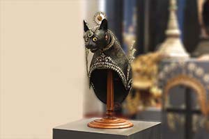 ภาพประกอบ ความรู้ทั่วไป