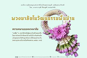ภาพประกอบ ความรู้ทั่วไป
