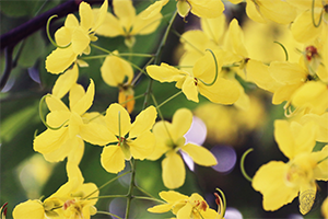 ภาพประกอบ ความรู้ทั่วไป