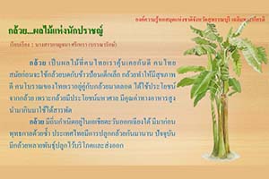 ภาพประกอบ ความรู้ทั่วไป