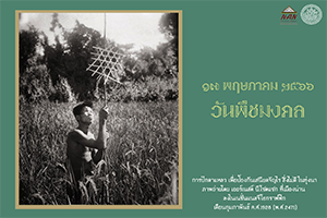 ภาพประกอบ ความรู้ทั่วไป