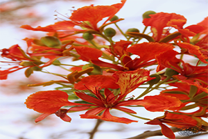 ภาพประกอบ ความรู้ทั่วไป