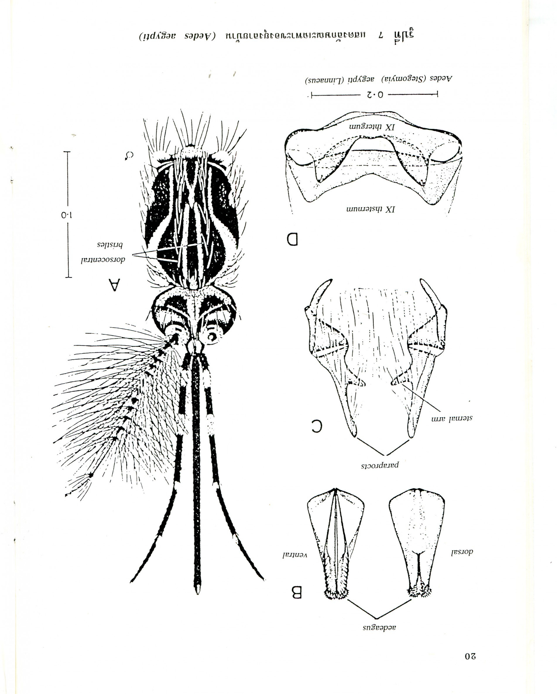 ภาพประกอบ ความรู้ทั่วไป