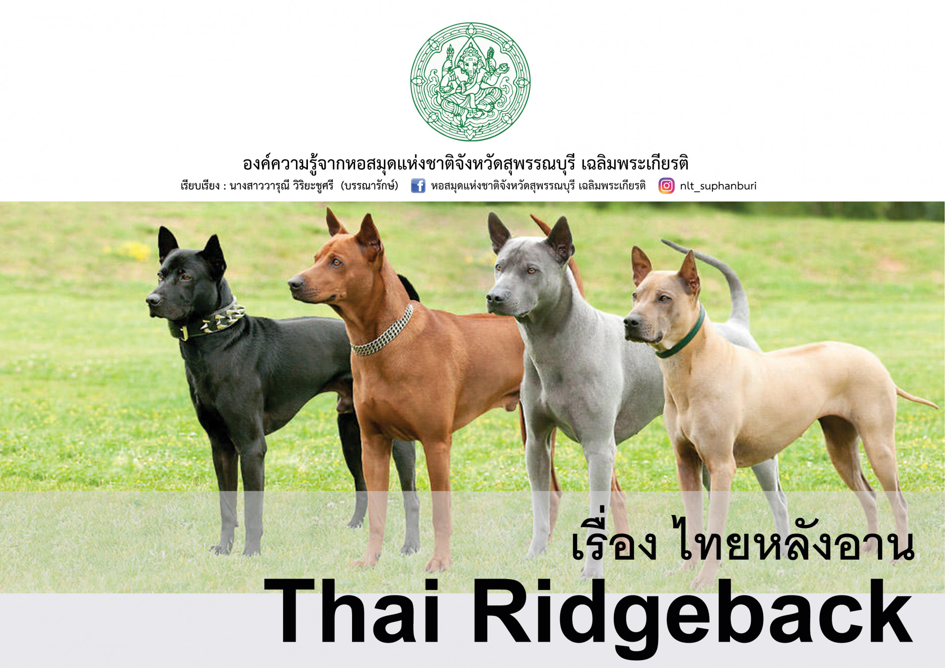 ภาพประกอบ ความรู้ทั่วไป
