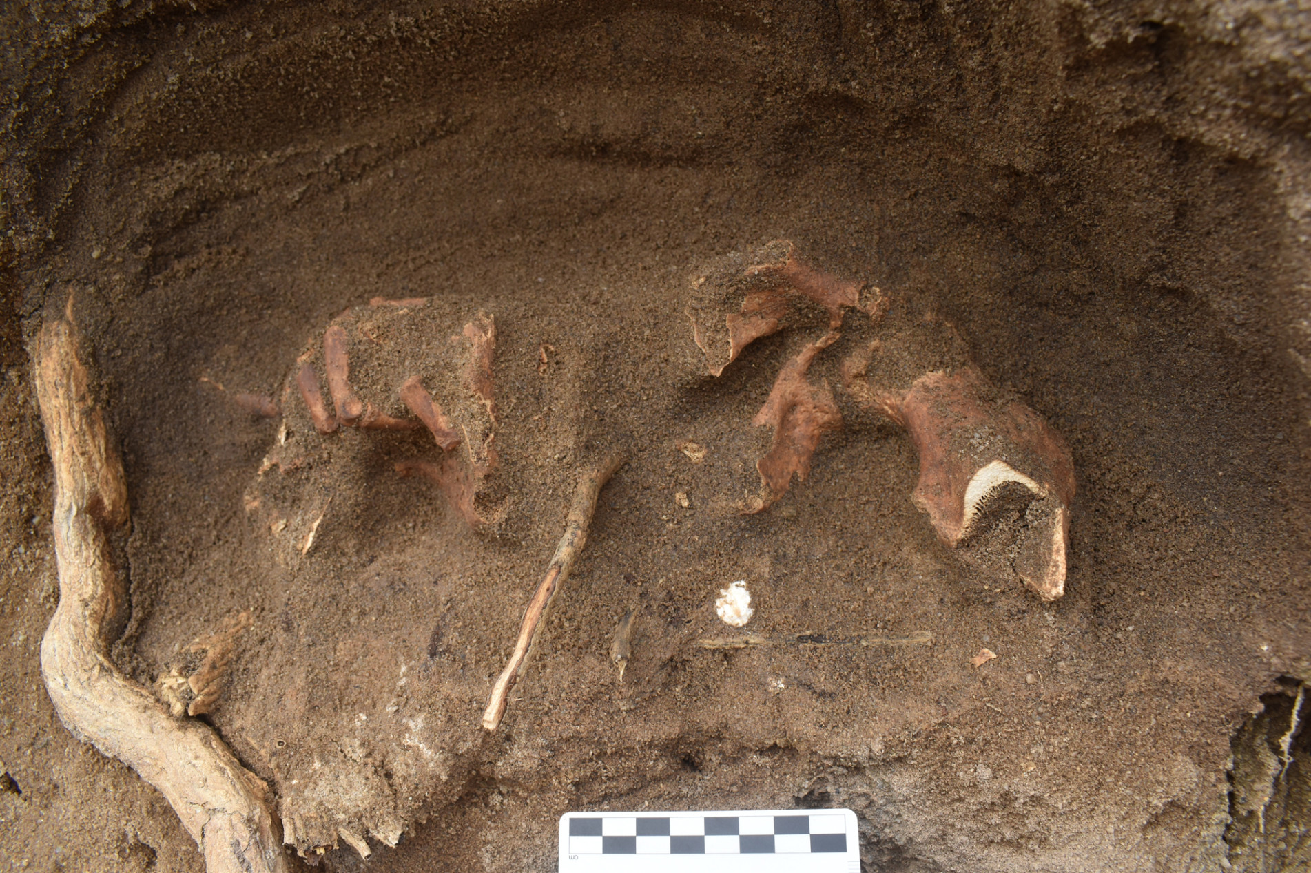 ภาพประกอบ ข่าวประชาสัมพันธ์