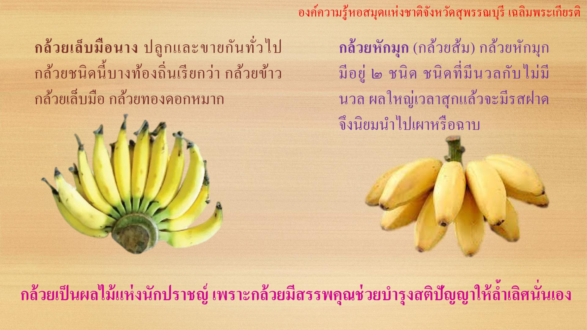 ภาพประกอบ ความรู้ทั่วไป