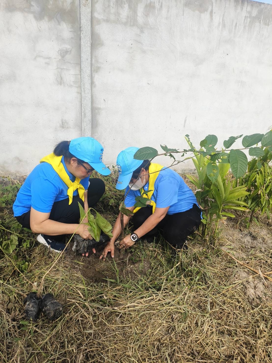 ภาพประกอบ คลังภาพและกิจกรรม