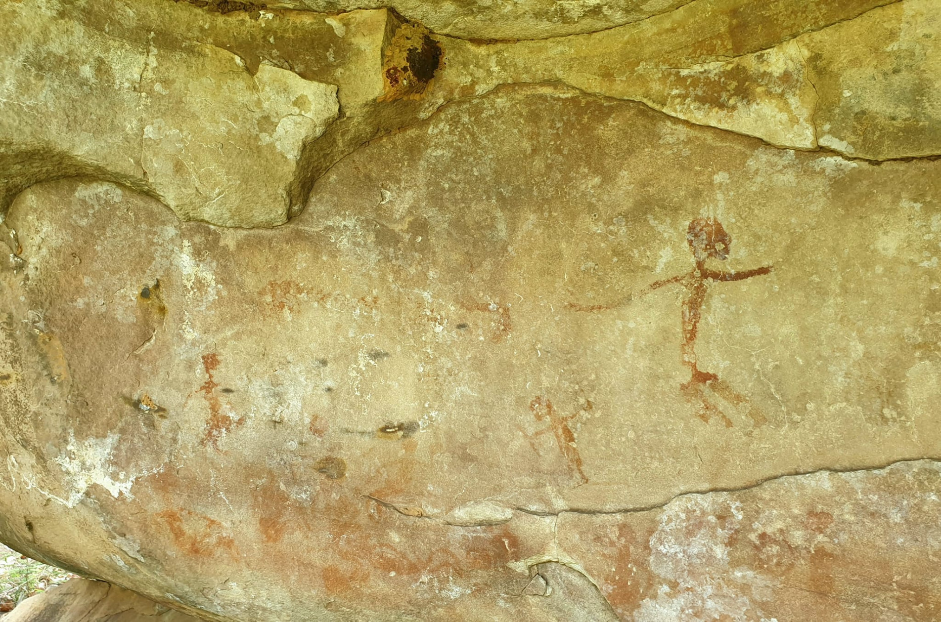 ภาพประกอบ ข่าวกิจกรรม