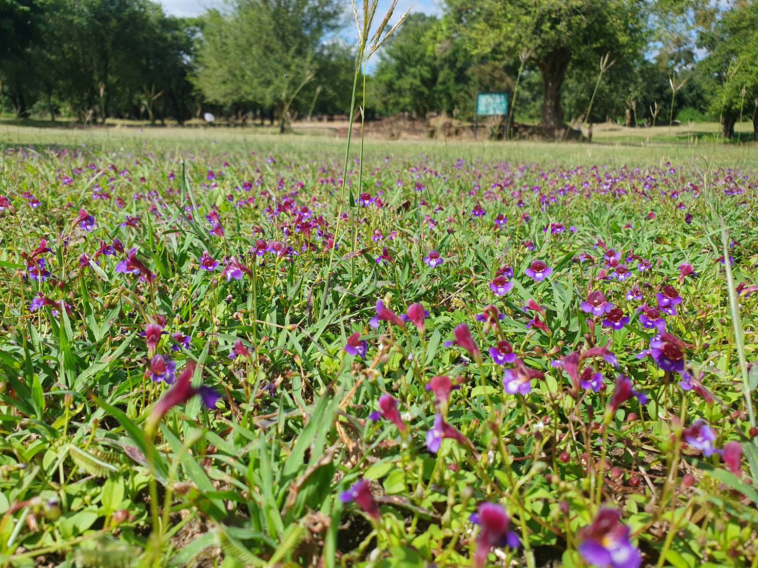 ภาพประกอบ ข่าวประชาสัมพันธ์