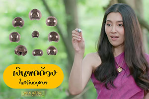 ภาพประกอบ ความรู้ทั่วไป