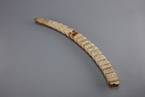 ภาพประกอบ ความรู้ทั่วไป