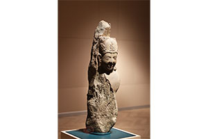 ภาพประกอบ ความรู้ทั่วไป