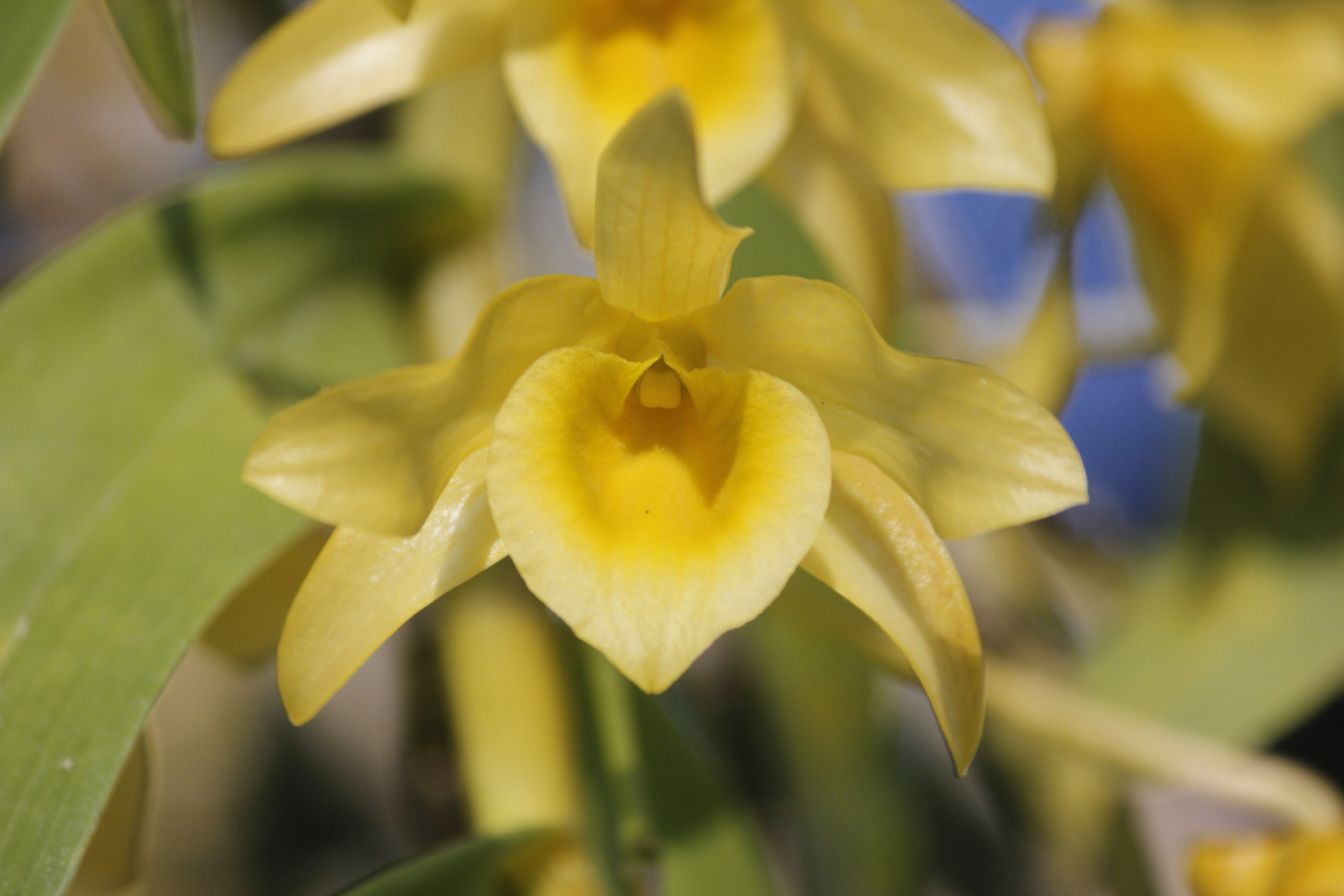 ภาพประกอบ ความรู้ทั่วไป