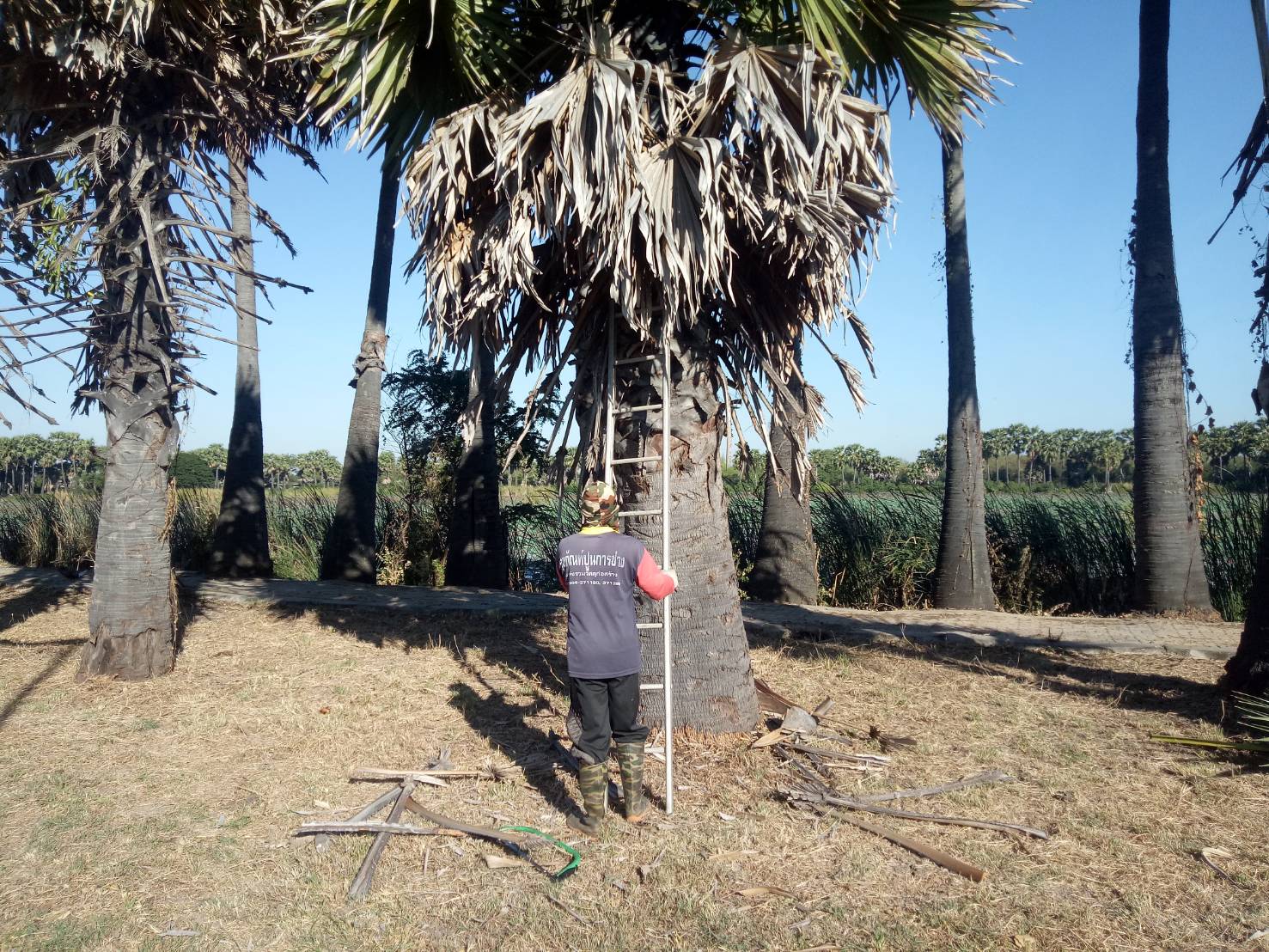 ภาพประกอบ ข่าวประชาสัมพันธ์