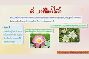 ภาพประกอบ ความรู้ทั่วไป