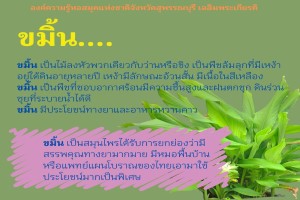 ภาพประกอบ ความรู้ทั่วไป