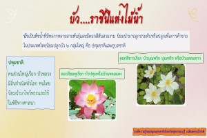 ภาพประกอบ ความรู้ทั่วไป