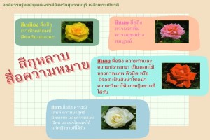 ภาพประกอบ ความรู้ทั่วไป