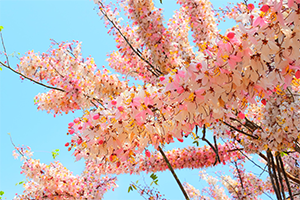 ภาพประกอบ ความรู้ทั่วไป