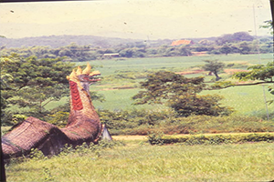 ภาพประกอบ ความรู้ทั่วไป