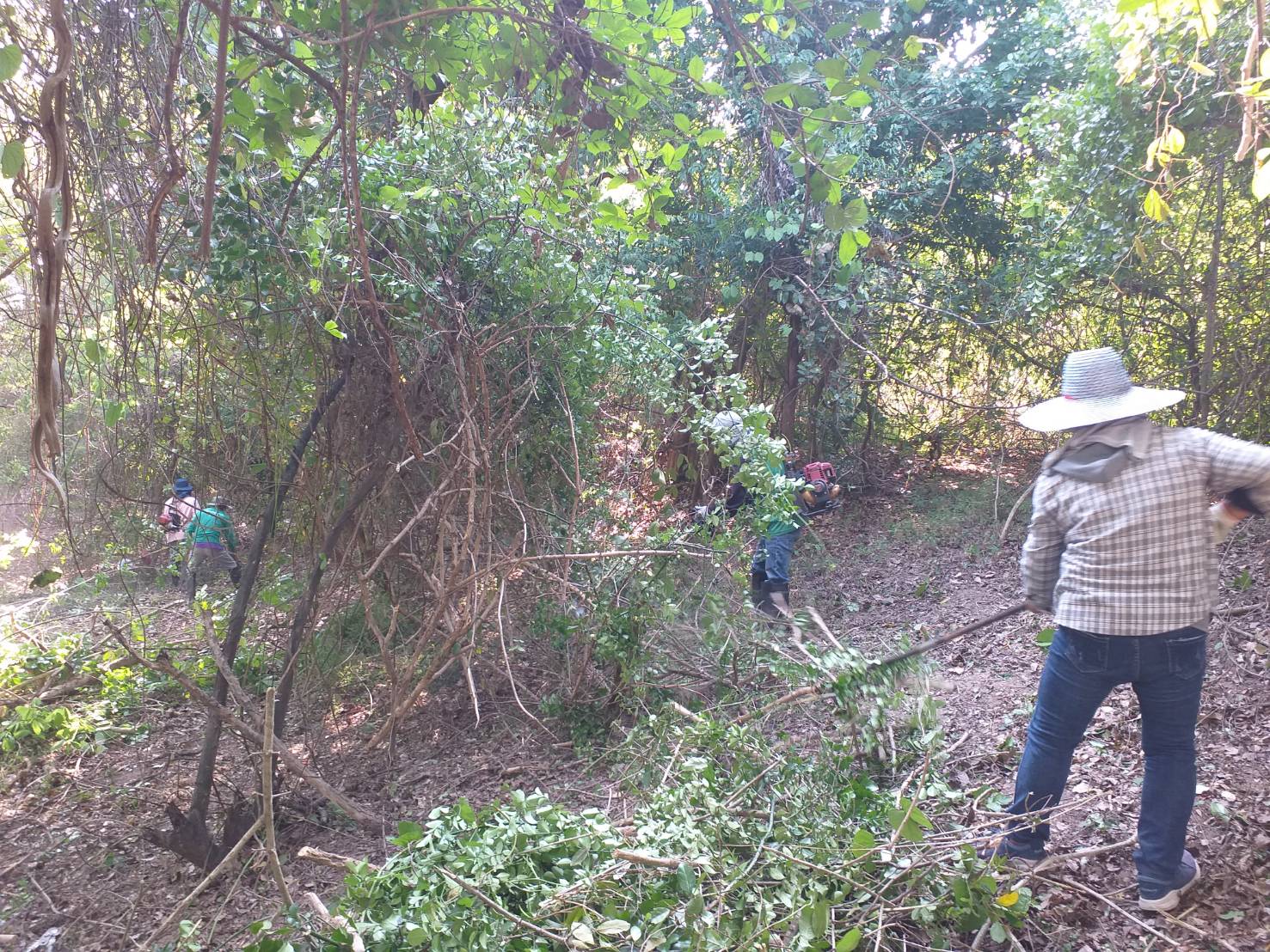 ภาพประกอบ ข่าวประชาสัมพันธ์