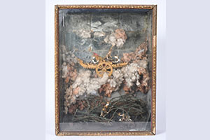 ภาพประกอบ ความรู้ทั่วไป