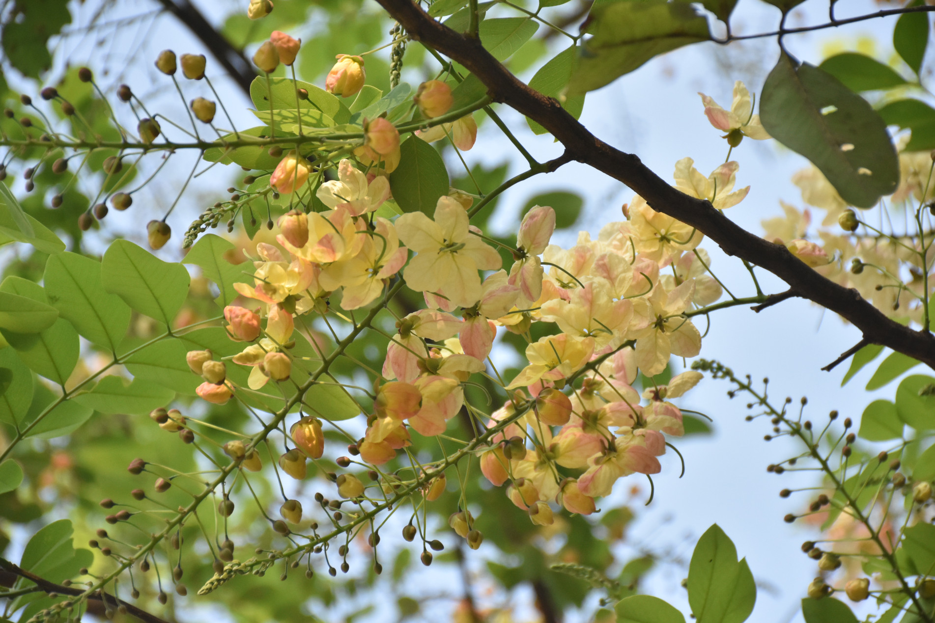 ภาพประกอบ ข่าวประชาสัมพันธ์