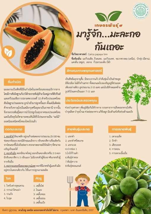 ภาพประกอบ ความรู้ทั่วไป