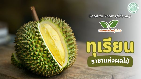 ภาพประกอบ ความรู้ทั่วไป