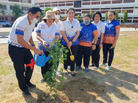 ภาพประกอบ คลังภาพและกิจกรรม