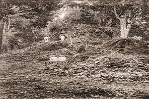 ภาพประกอบ ความรู้ทั่วไป