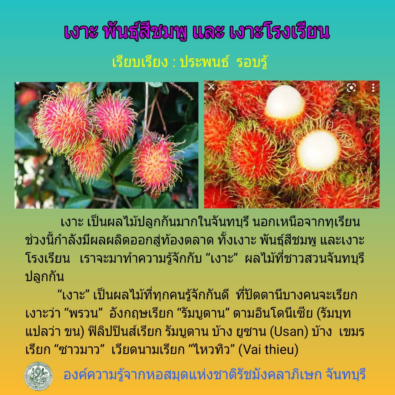 ภาพประกอบ ความรู้ทั่วไป