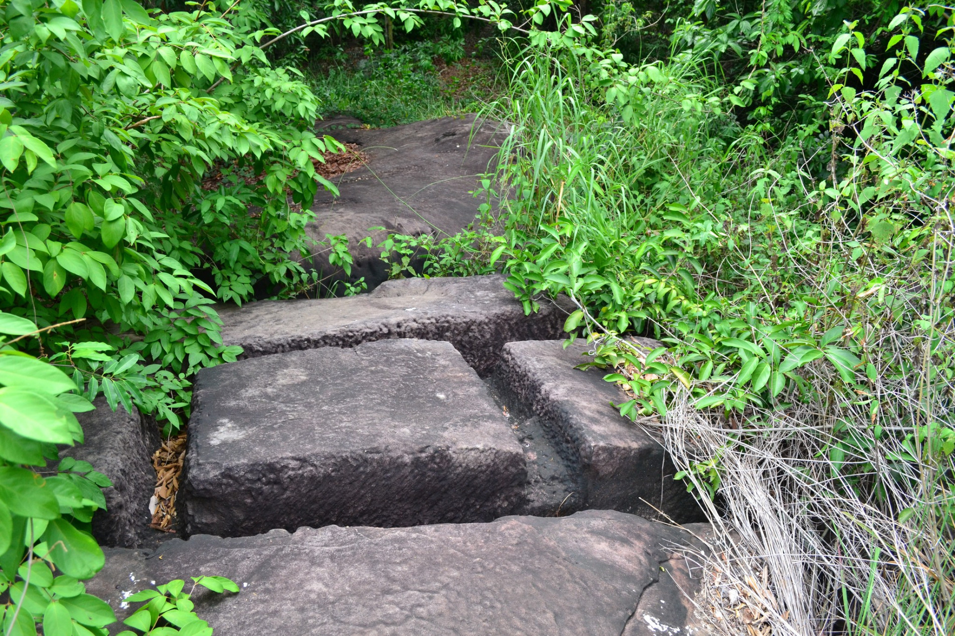 ภาพประกอบ ข่าวประชาสัมพันธ์