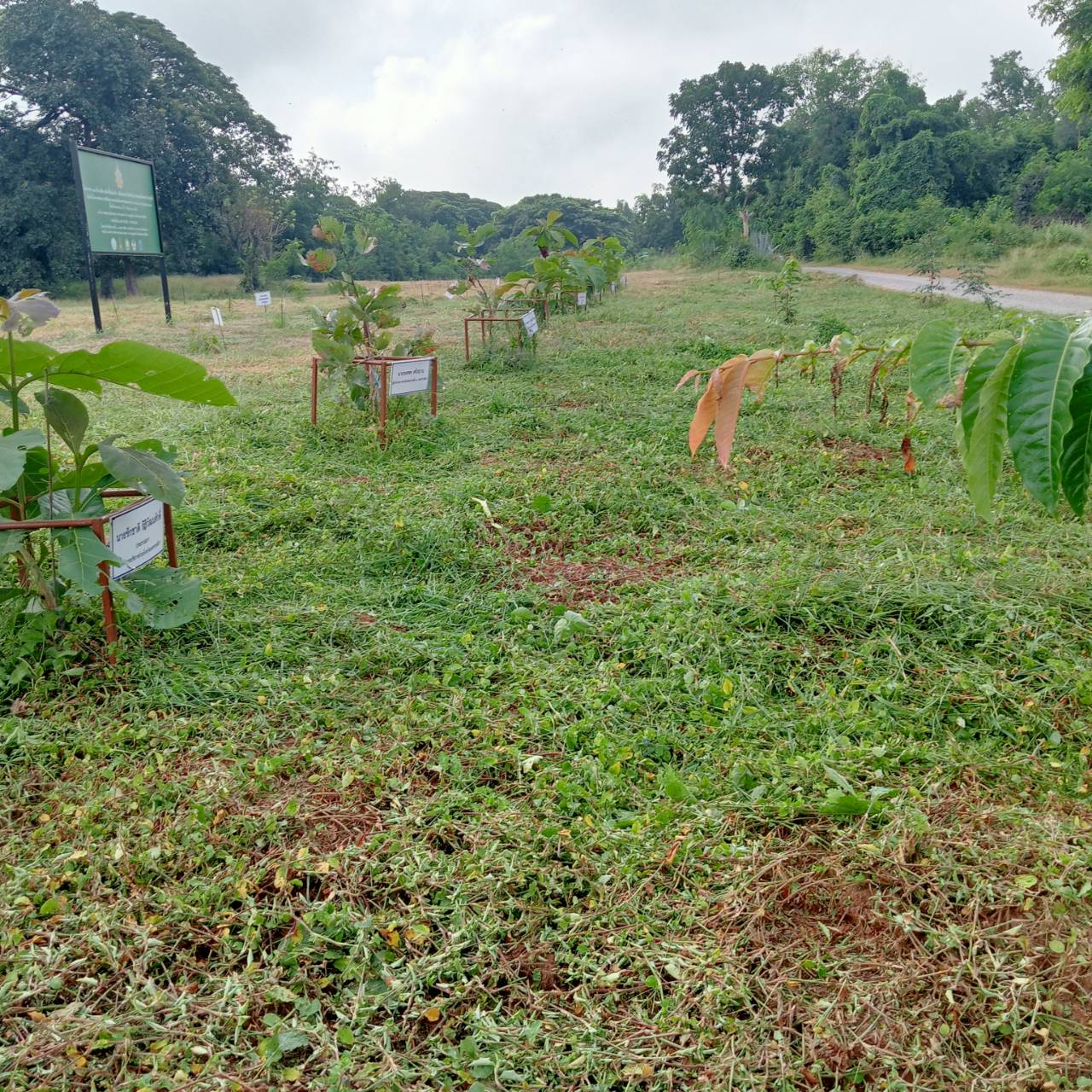 ภาพประกอบ ข่าวประชาสัมพันธ์