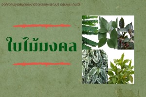 ภาพประกอบ ความรู้ทั่วไป