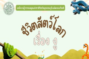 ภาพประกอบ ความรู้ทั่วไป