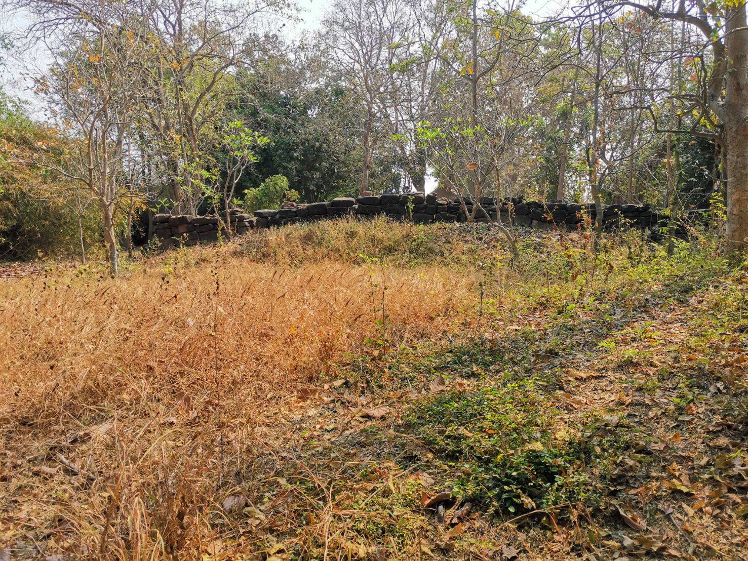 ภาพประกอบ ข่าวประชาสัมพันธ์