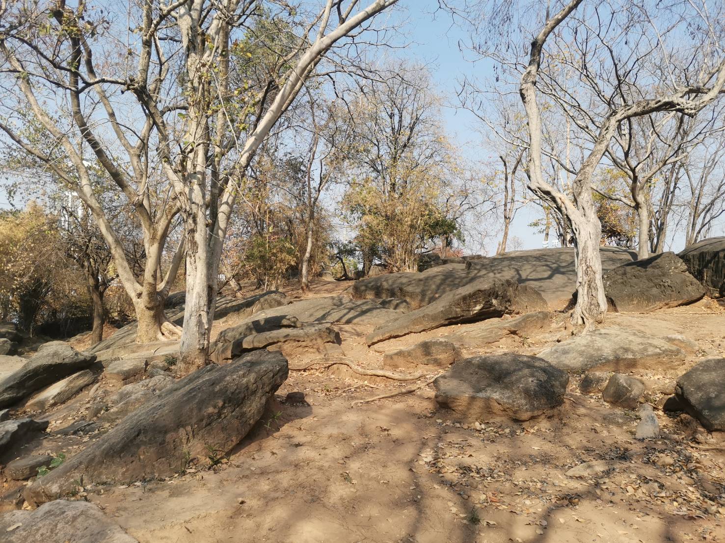 ภาพประกอบ ข่าวประชาสัมพันธ์