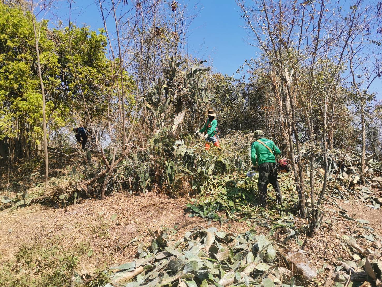 ภาพประกอบ ข่าวประชาสัมพันธ์