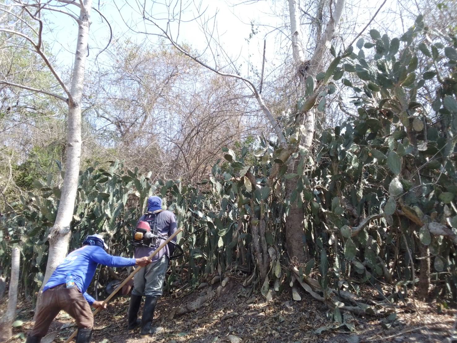ภาพประกอบ ข่าวประชาสัมพันธ์