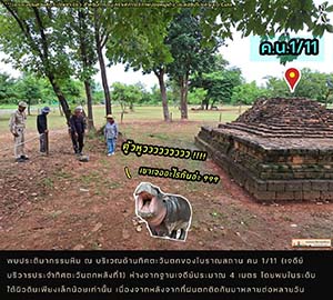 ภาพประกอบ ความรู้ทั่วไป