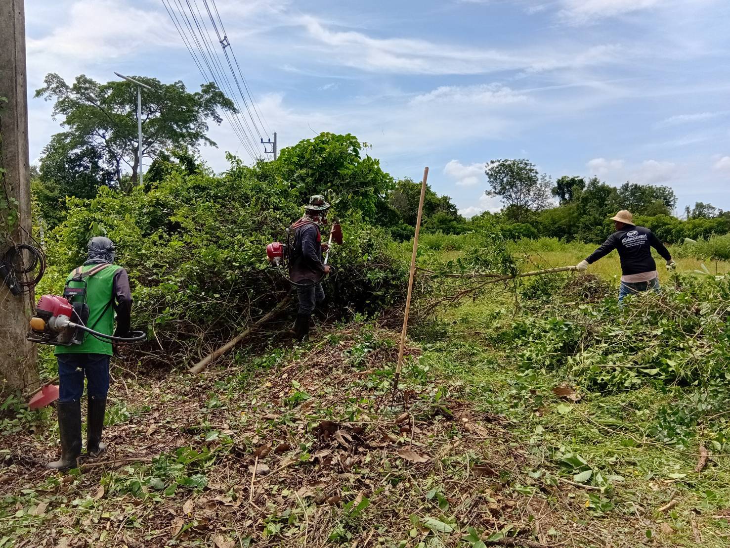ภาพประกอบ :เจ้าหน้าที่สำนักศิลปากรที่ 10 นครราชสีมา ลงพื้นที่ดำเนินงานถากถางกำจัดวัชพืช ทำความสะอาดบริเวณโดยรอบคูน้ำคันดินโบราณสถานเมืองเสมา และพื้นที่สำหรับเตรียมการปลูกต้นไม้เฉลิมพระเกียรติฯ ตำบลเสมา อำเภอสูงเนิน จังหวัดนครราชสีมา ระหว่างวันที่ 5-10 มีนาคม 2568