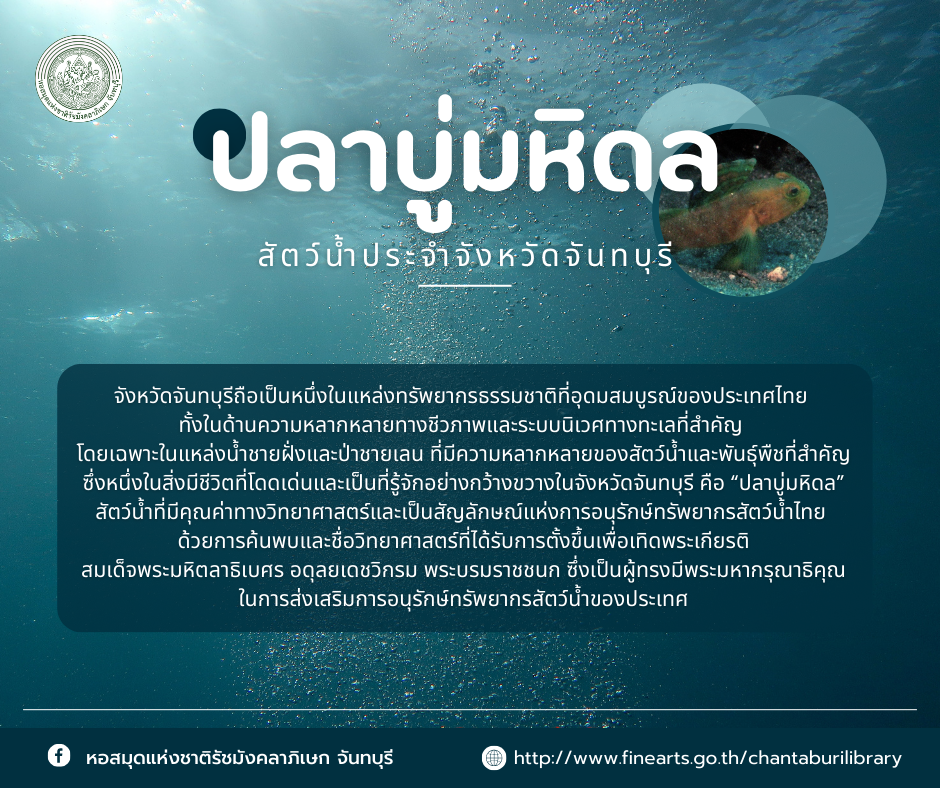ภาพประกอบ ความรู้ทั่วไป