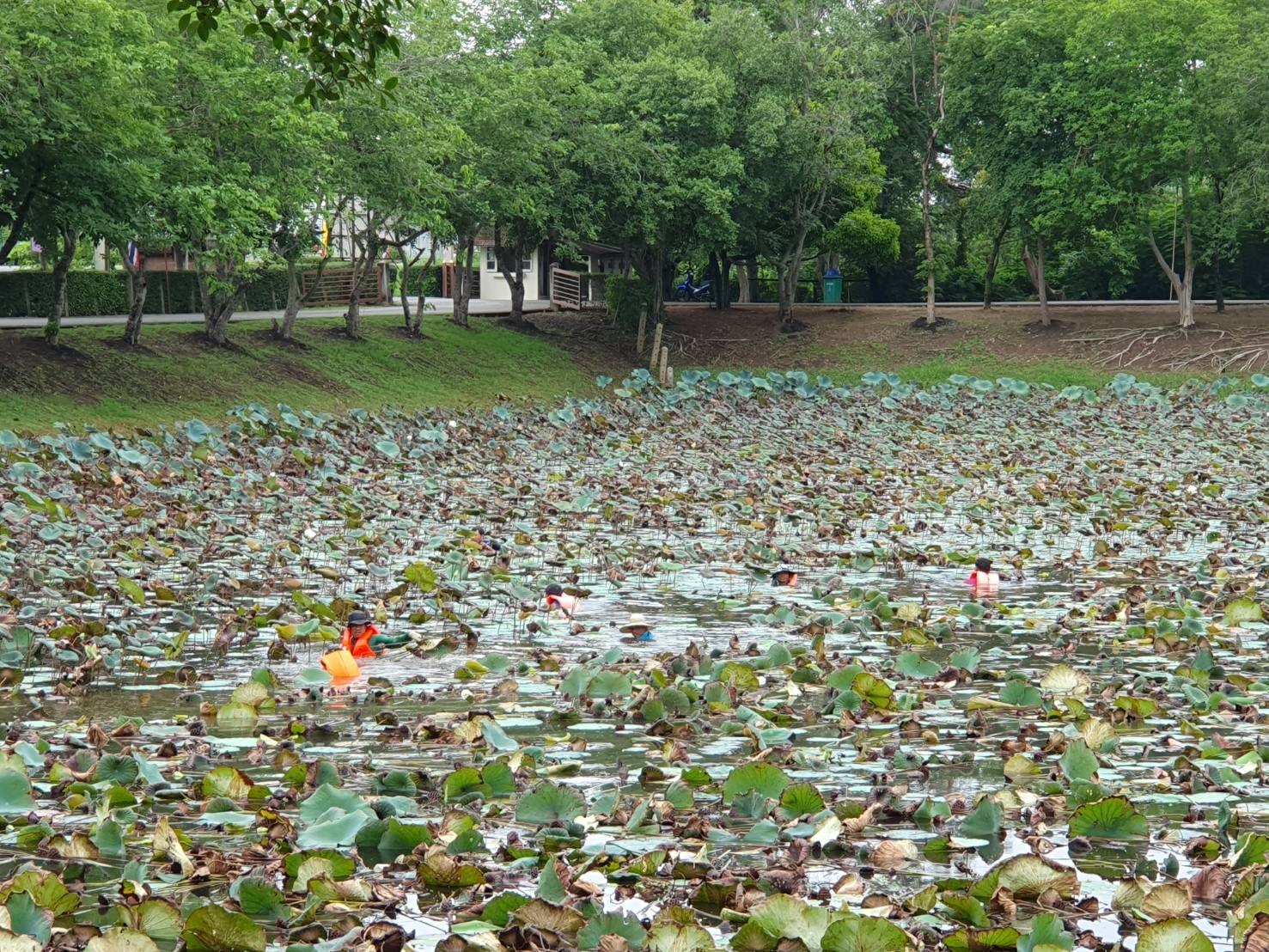 ภาพประกอบ ข่าวประชาสัมพันธ์