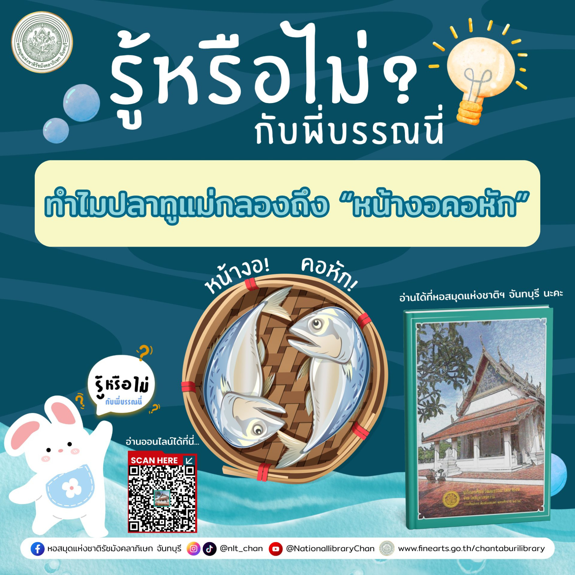ภาพประกอบ ความรู้ทั่วไป
