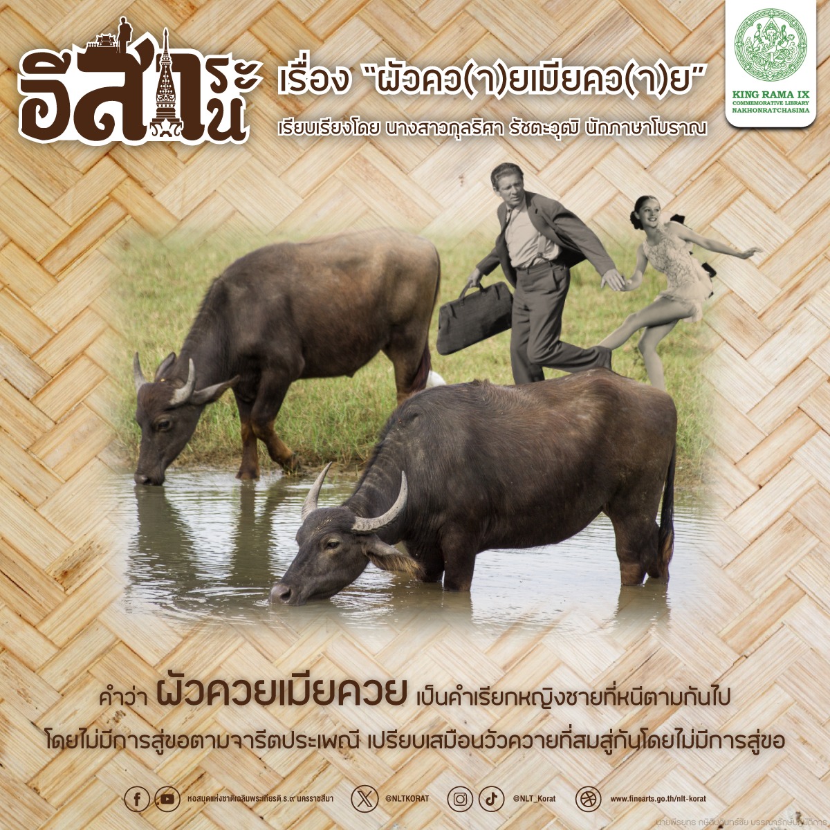 ภาพประกอบ ความรู้ทั่วไป