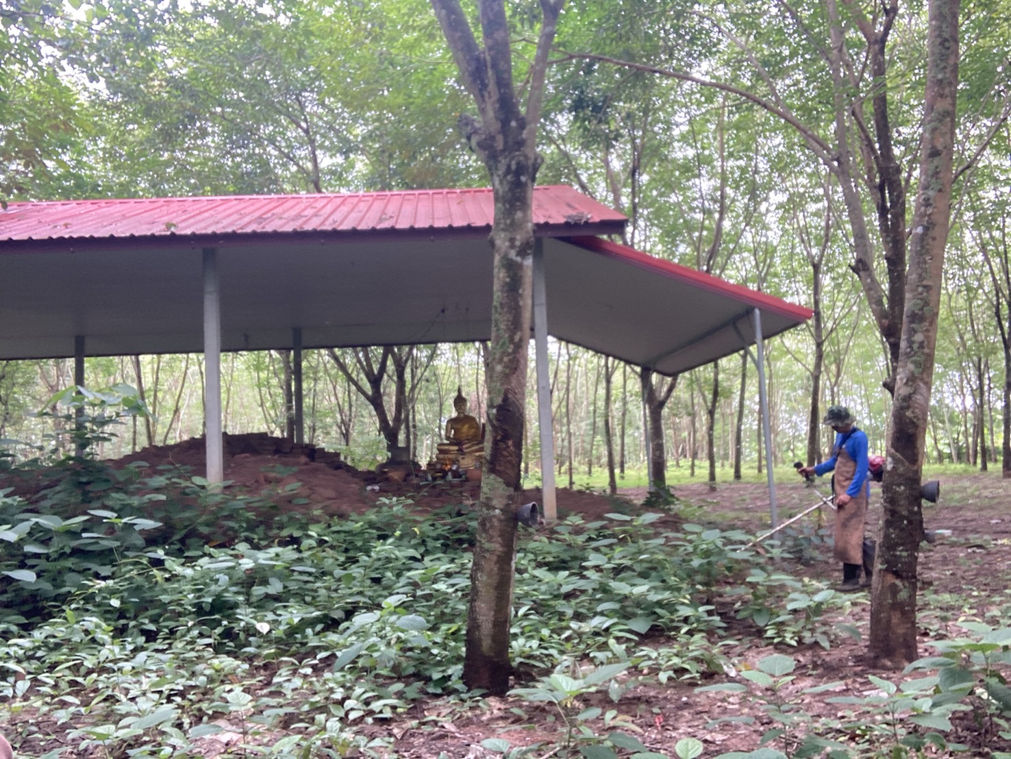 ภาพประกอบ ข่าวประชาสัมพันธ์