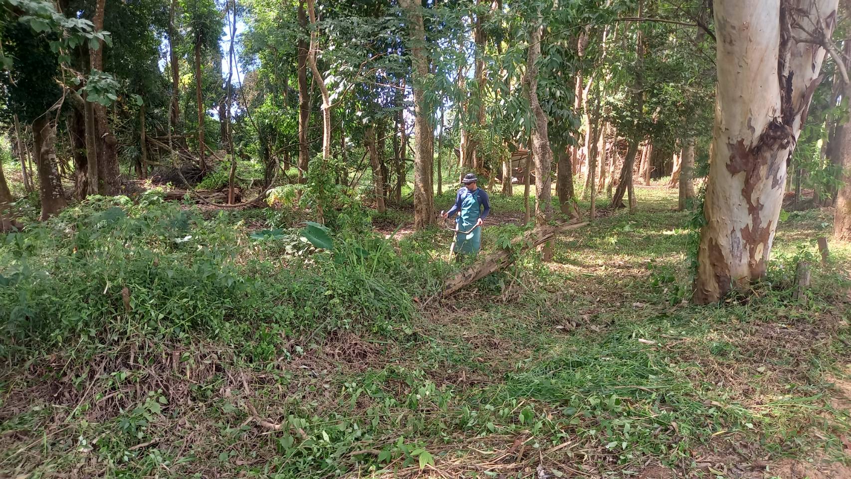 ภาพประกอบ ข่าวประชาสัมพันธ์
