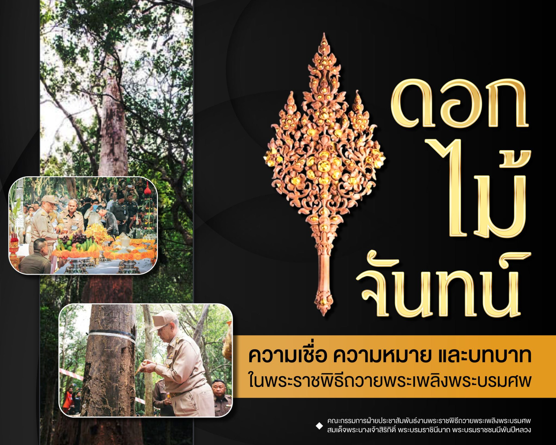 General knowledge thumbnail 50511