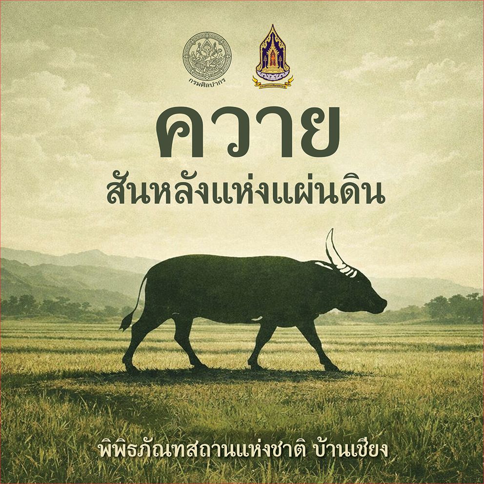 ภาพประกอบ :“ควาย”